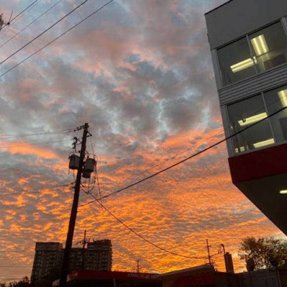 Meet your Posher, Gabi - Picture 1 of 1